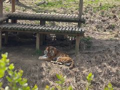 -扬州市茱萸湾风景区