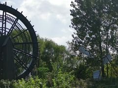 -溱湖国家湿地公园