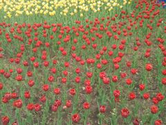 -长春公园(普阳街道)