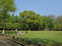 -灵谷景区
