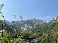 -泰山风景名胜区