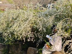 -中国茶叶博物馆(双峰馆区)