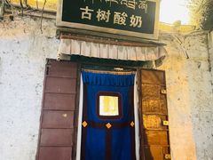 -古树酸奶(八廓南街店)