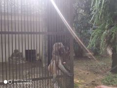 -广东茂名森林公园