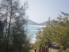 -广东惠东海龟国家级自然保护区