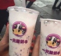 -一只酸奶牛(八一路店)