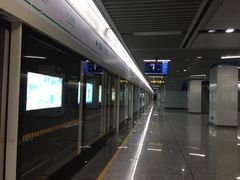 -大王基(地铁站)