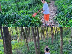 -重庆彩云湖湿地公园