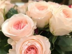 -花好悦园酒家(大石店)