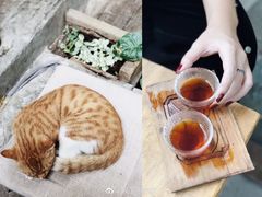-悟饮门市景店