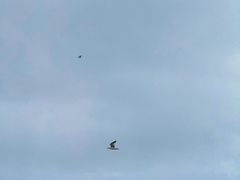 -ChanDu躔度咖啡(灯塔店)