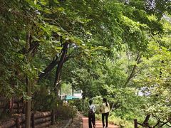 -大连植物园
