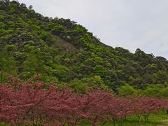 -五泄景区