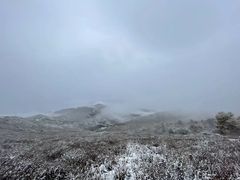-灵山