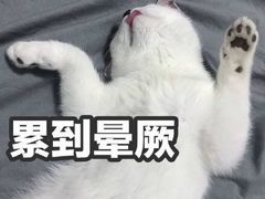 -大观园影院式足浴Spa店(沙坪坝店)