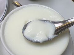-澳洲牛奶公司(佐敦店)