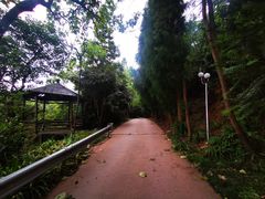 -重庆雨台山风景区