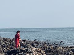 -江山半岛白浪滩景区
