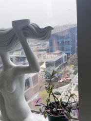 -小黑裙瑜伽·普拉提