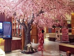 -大江户·温泉洗浴(浑南店)