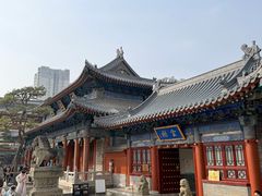 -天龙宝严素食馆(大兴善寺店)