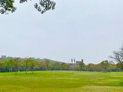 -上海吴淞炮台湾国家湿地公园