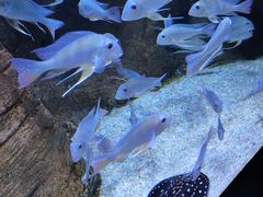 -成都浩海立方海洋公园