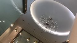 -MIDA蜜哒•科技逆龄美肤连锁