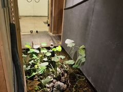 -邈墨茶馆(凤起路店)