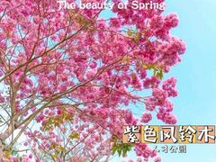 -白石龙音乐公园