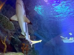 -沈阳海洋探索中心