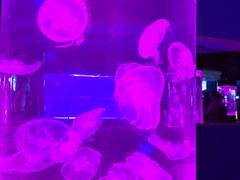 -苏州海洋馆