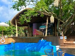 -美人鱼悬崖海景餐厅(鹿嘴山庄店)