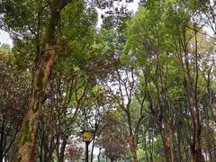 -重庆市江北嘴中央商务区中央公园