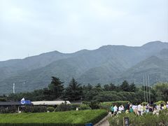 -秦始皇帝陵博物院(兵马俑)