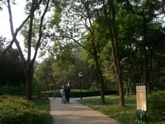 android_upload_pic-玲珑塔公园
