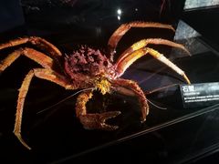 -同济大学四平路校区深海探索馆