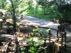 -北京上方山国家森林公园