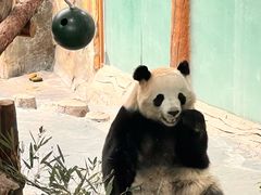 -青藏高原野生动物园