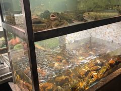 -甄御•海鲜新青岛菜(麦岛店)