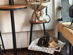 -参差咖啡(水果湖公园店)