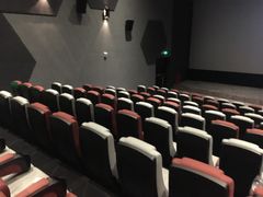 -星河寰宇IMAX影城(星河WORLD·COCO Park店)