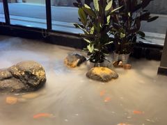 -青螺餐厅·家宴(松雅湖店)