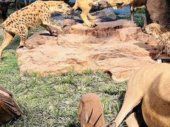 -国家自然博物馆