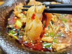 紫苏香辣干锅牛蛙-91小龙虾·香辣蛙(蛇口店)