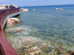 -养马岛旅游度假区