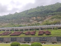 -金钉子远古世界景区