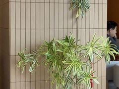 -Bco豆库(苏州中心店)