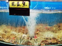 -蓝珊甄选海鲜自助·火锅大排档(近阿那亚店)