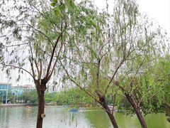 -东山湖公园